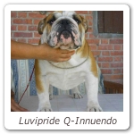 Luvipride Q-Innuendo