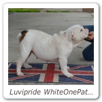 Luvipride WhiteOnePatch 02